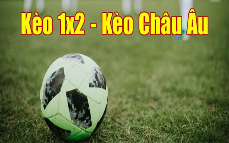 Kinh nghiệm đặt kèo 1/2 uy tín nhất