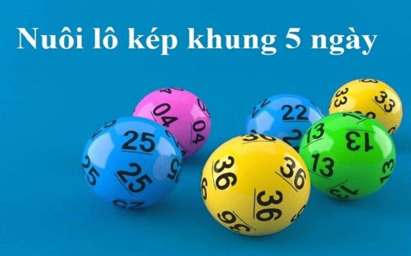 Hướng dẫn cách vào tiền lô khung 5 ngày